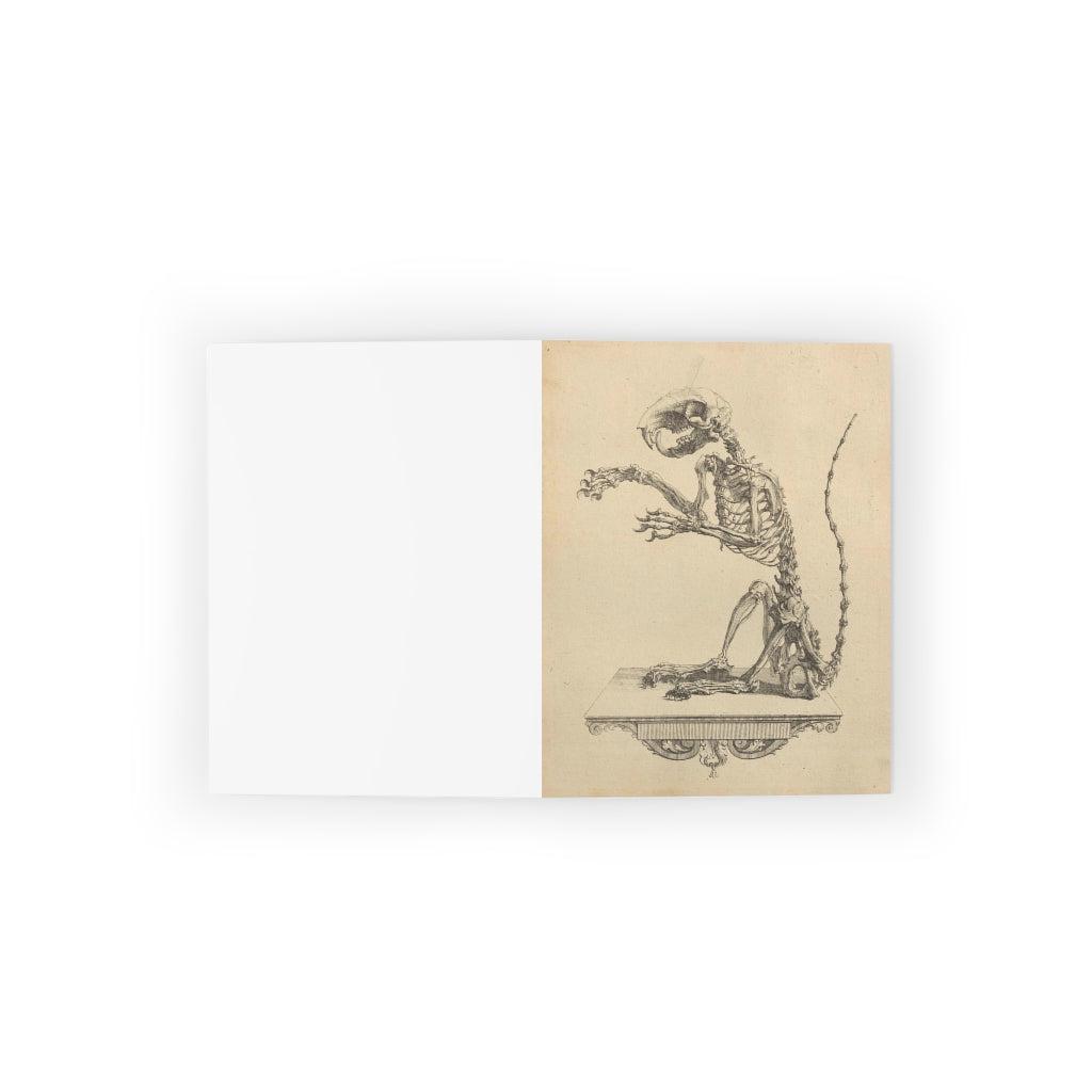 Halloween Rat Skeleton Greeting Cards - 10 Pack Spooky Gothic Stationery for Horror Fans, Halloween Party Invitations & Gothic Home Decor