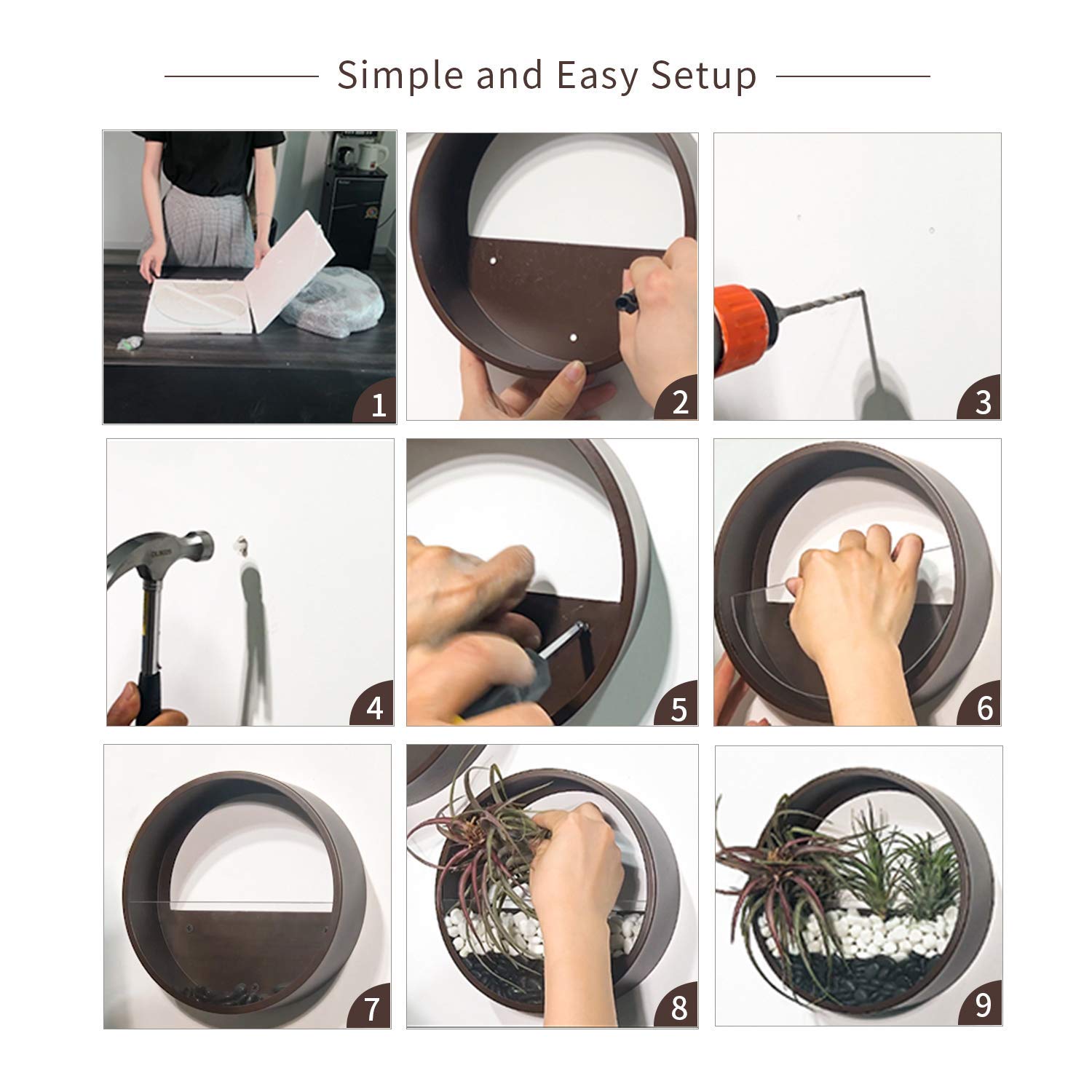 Ecosides 8
