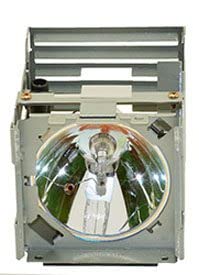 Original ViewSonic RLU820 Projector Lamp Bulb Replacement - High Precision Compatible with ViewSonic RLU820 Housing - Perfect for Home Theater, Office Presentations & Classroom Projectors