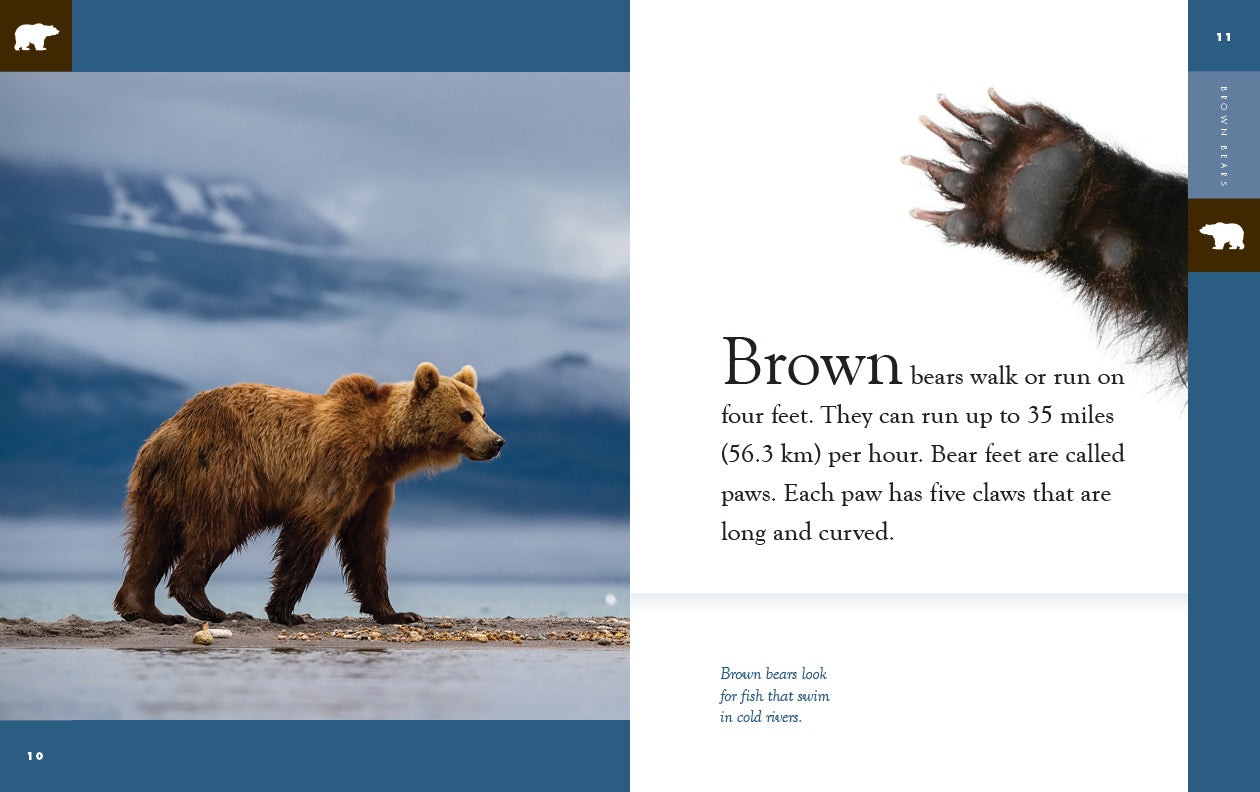 Brown Bears Book 9781640265400 - Wildlife Education & Nature Exploration for Kids & Adults