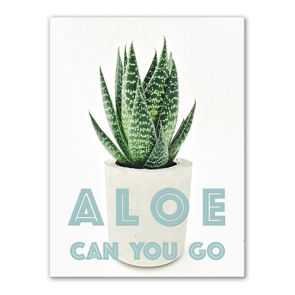 Aloe Can You Go Floral Gallery Wrapped Canvas Wall Art by Norman Wyatt Home - Perfect for Living Room, Bedroom & Office Decor