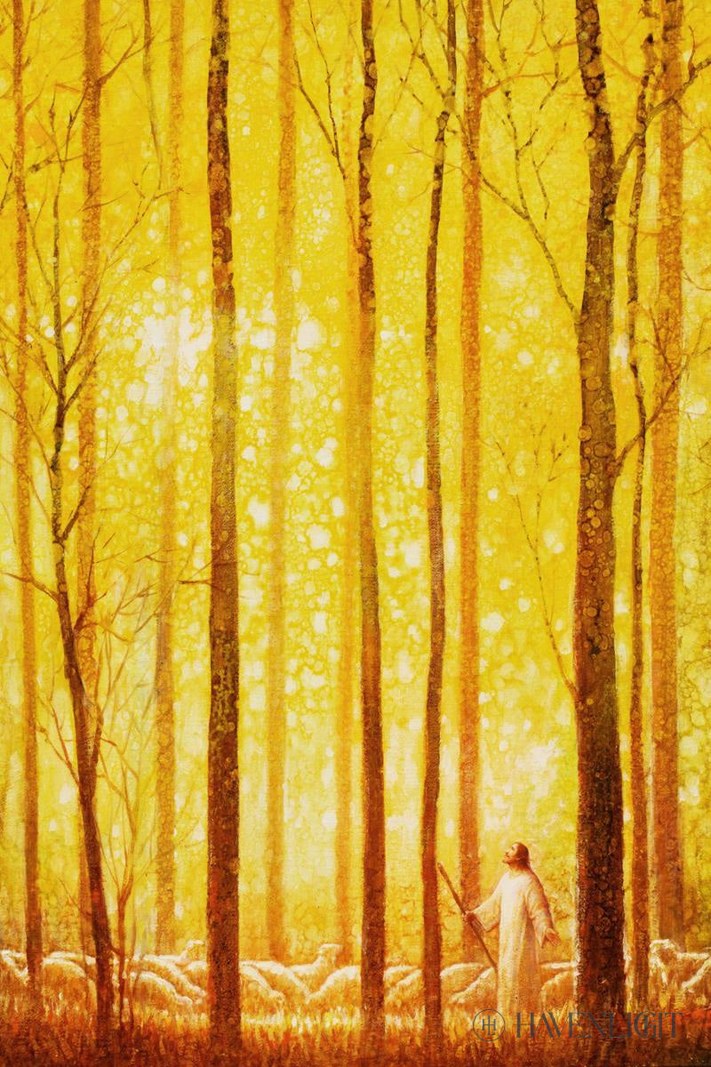 Wonder by Yongsung Kim - Inspirational Christian Art Print for Home & Office Decor - Perfect for Living Rooms, Bedrooms, and Church Spaces