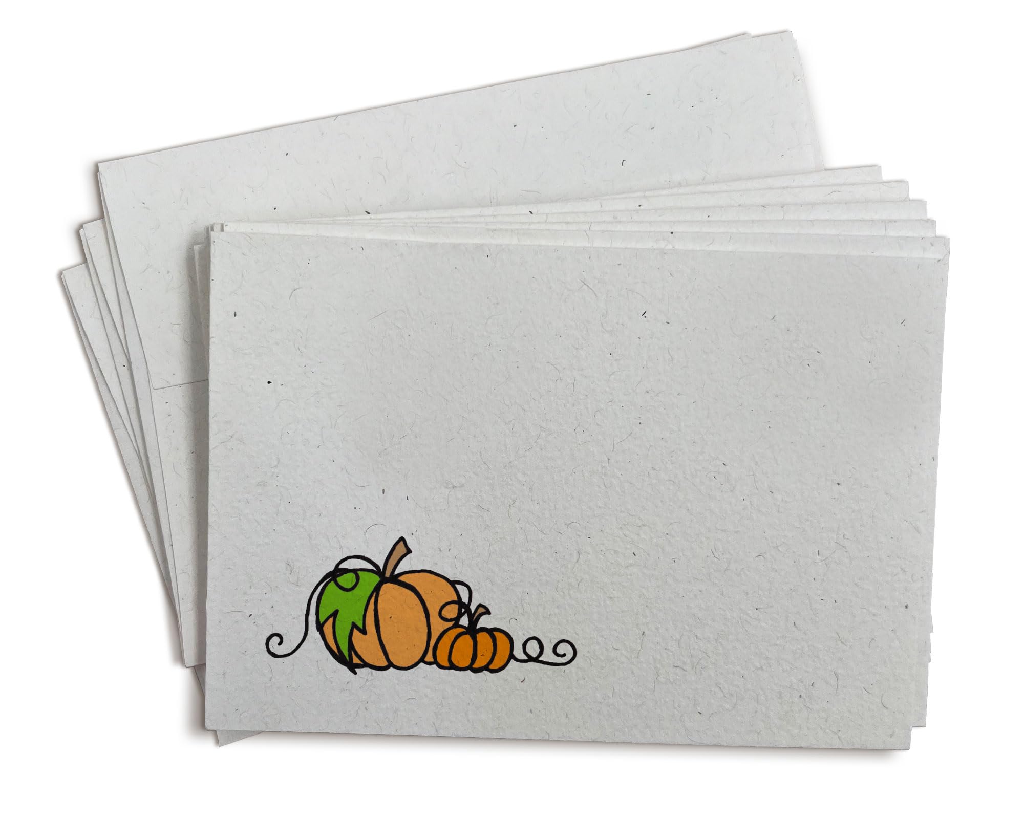 24 Autumn Pumpkin Blank Fall Greeting Cards with Envelopes - Perfect for Thanksgiving, Halloween, and Seasonal Home Decor