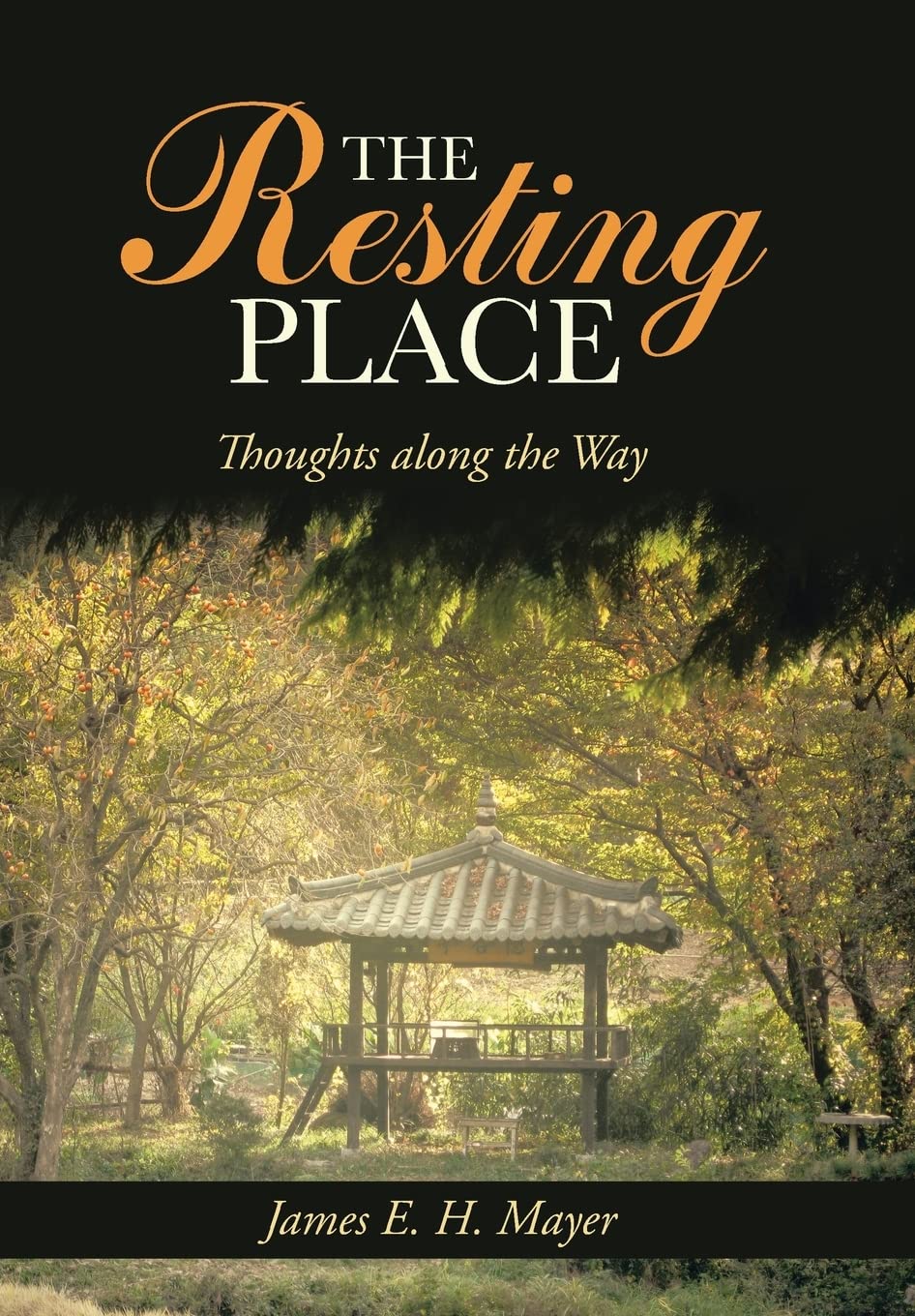 The Resting Place: Inspirational Thoughts for Daily Reflection - Perfect for Meditation, Relaxation & Mindfulness Practices