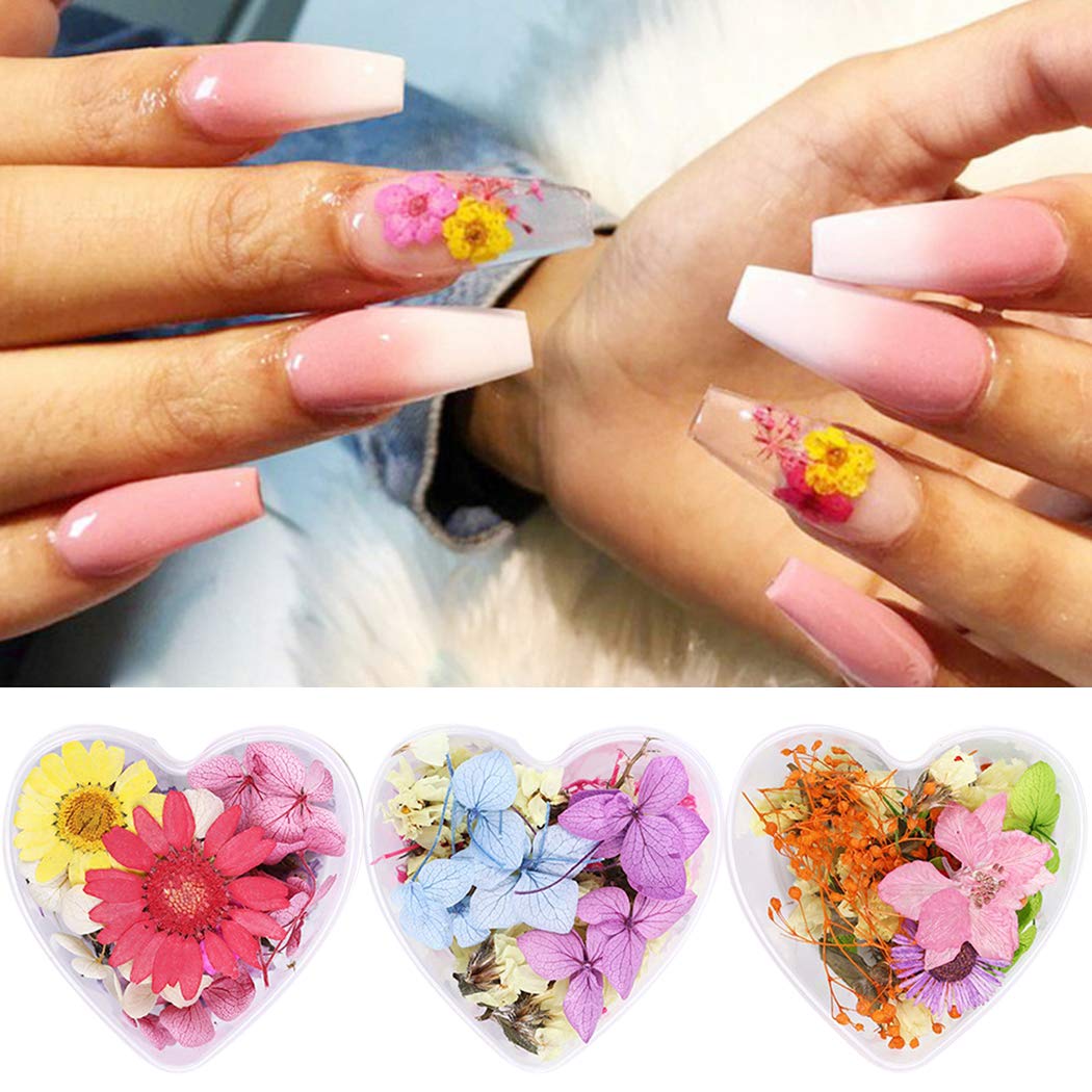 SOWUNO 3D Pressed Flower Nail Art Kit - 3 Box Mini Dried Real Flowers for DIY Nail Decoration | Perfect for Nail Salon, Home Manicure & Creative Nail Designs