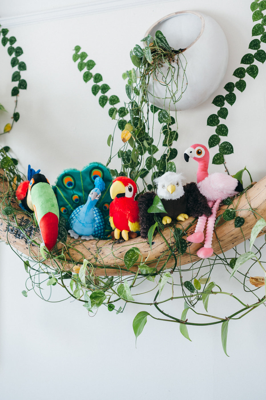 Tito the Toucan Plush Dog Toy - Fetching Flock™ Chew-Resistant Squeaky Stuffed Animal for Small & Medium Dogs | Perfect for Fetch, Cuddling & Interactive Playtime | Pet P.L.A.Y.