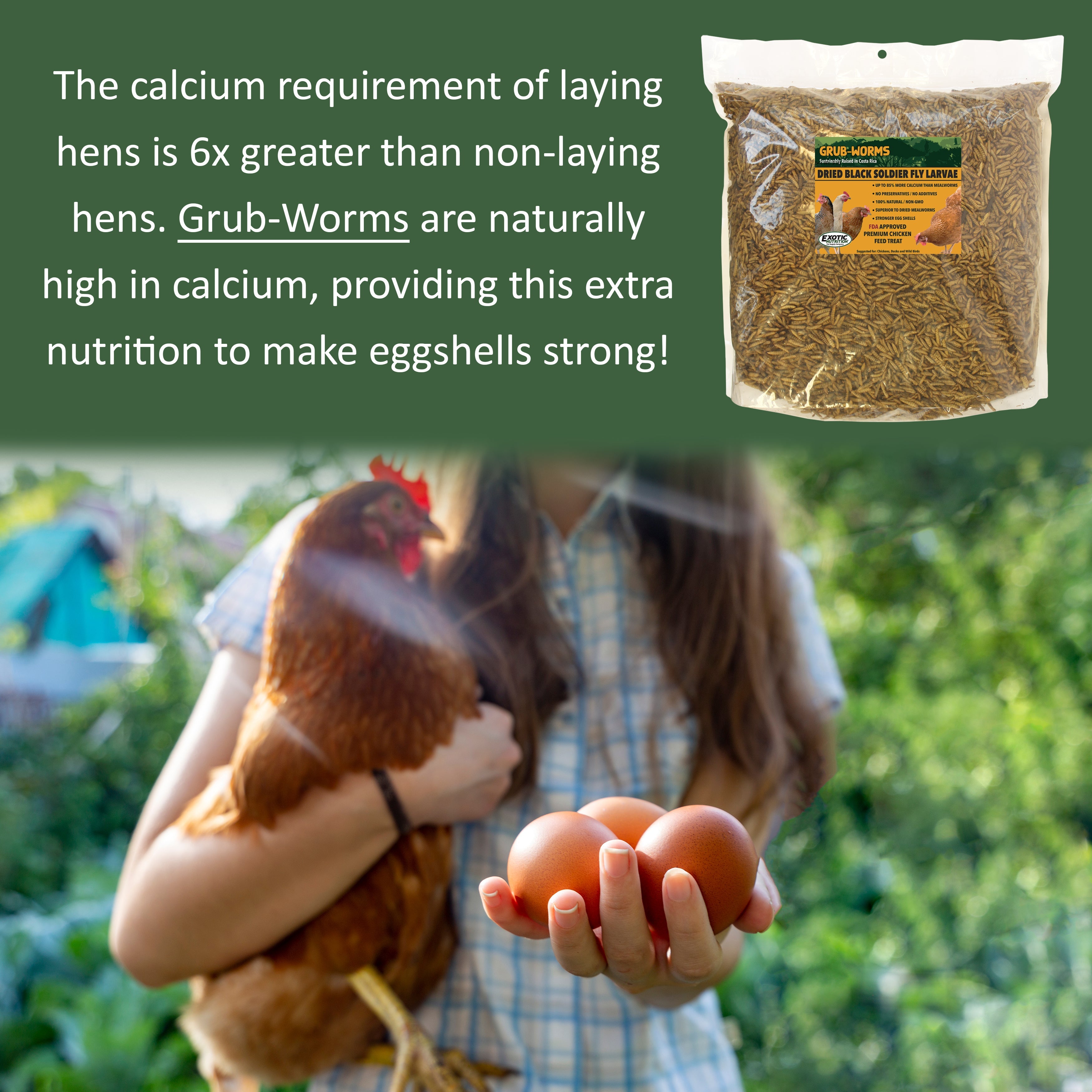 Premium Grub Worms - Black Soldier Fly Larvae for Reptiles, Chickens & Wild Birds | High-Protein Live Feed for Bearded Dragons, Geckos & Poultry | Perfect for Fishing Bait & Composting