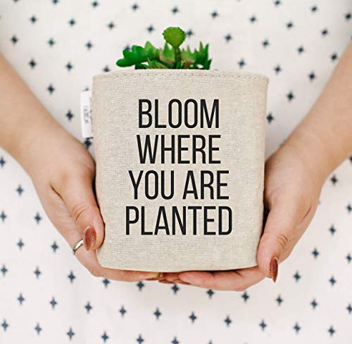 Small Linen Plant Pot Cover & Personalized Storage Bin - Decorative Storage Bins for Shelves, Perfect Housewarming Gifts for New Home | Organize Home Decor & Plant Accessories