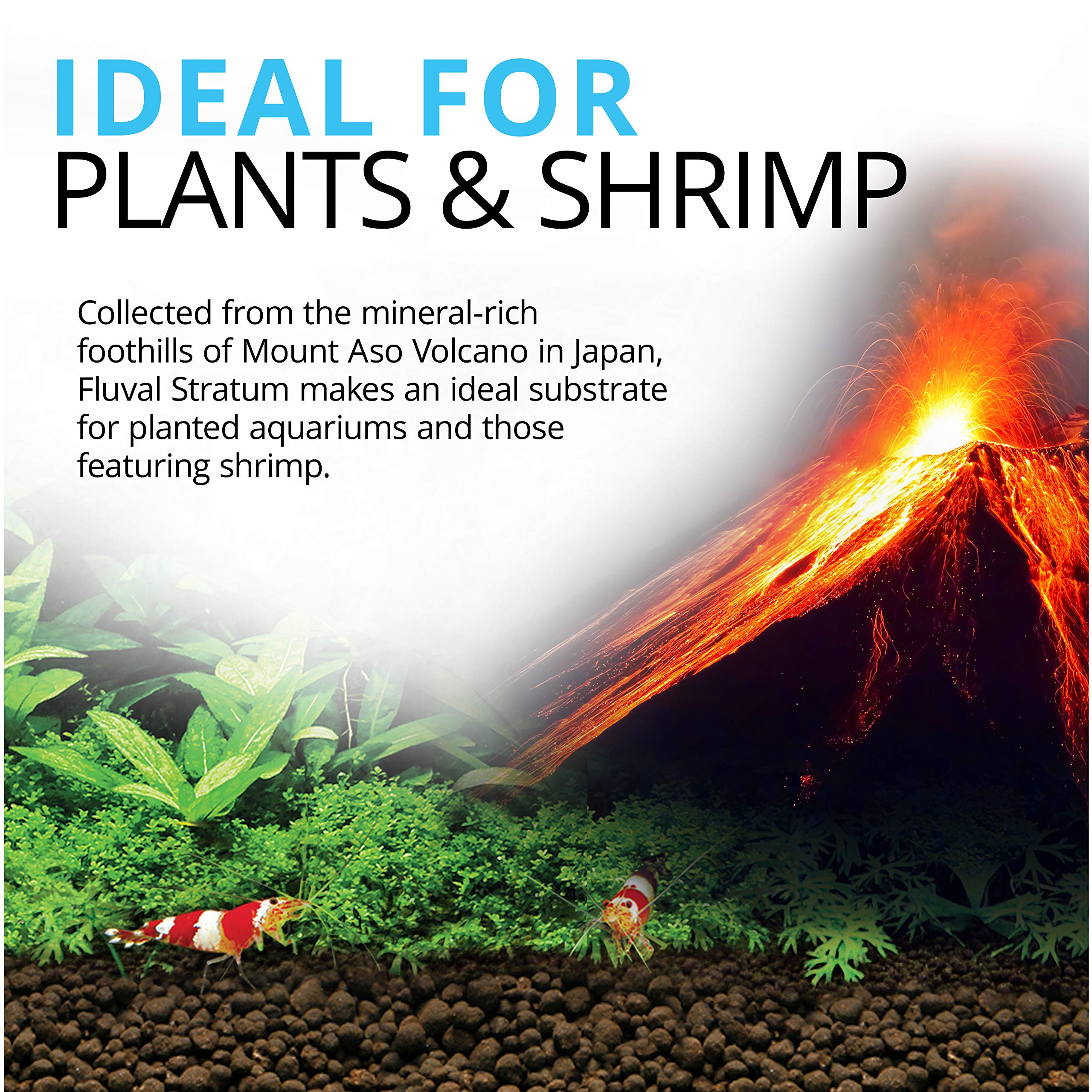 Fluval 12693 Plant and Shrimp Stratum - 4.4 lbs Natural Aquarium Substrate for Freshwater Fish Tanks | Promotes Healthy Plant Growth & Neutral pH Balance | Ideal for Shrimp Tanks, Planted Aquariums & Aquatic Ecosystems