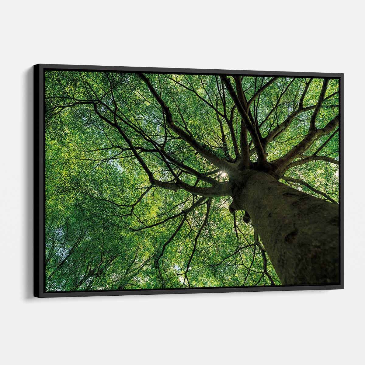 Green Tree Wall Art Canvas - Modern Nature-Inspired Home Decor for Living Room, Bedroom & Office | 6470