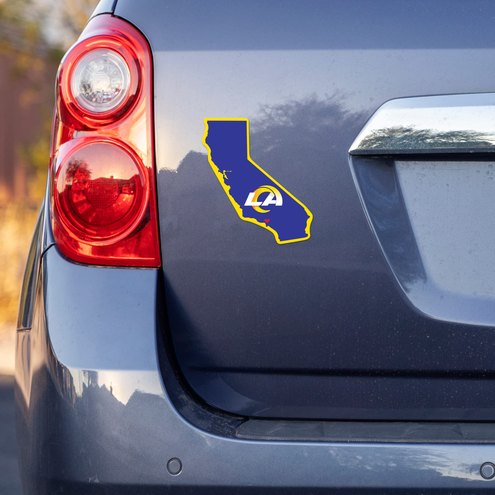 NHL Rico Industries Home State Sticker 5