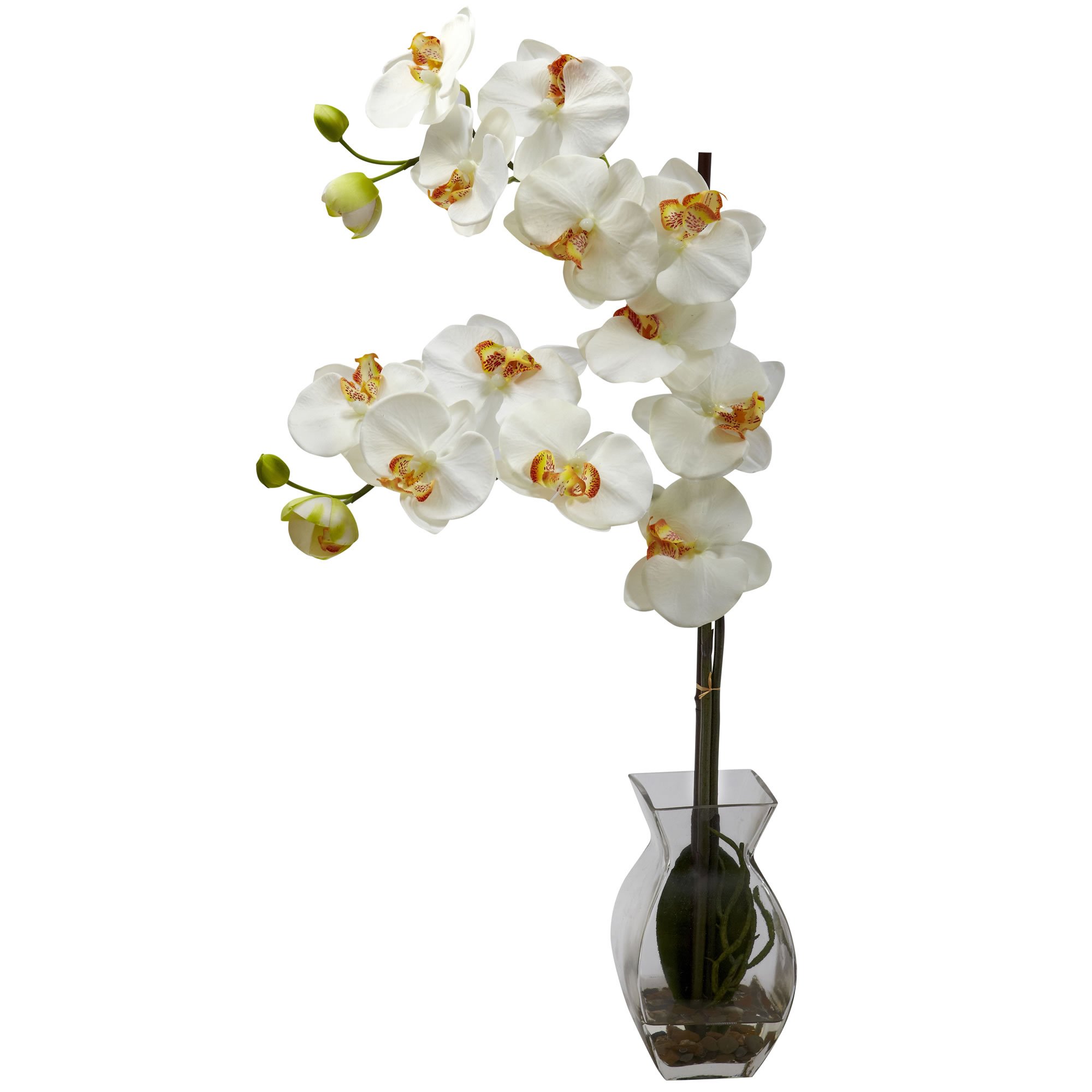 Nearly Natural 1295-CR Cream Phalaenopsis Silk Orchid in Vase - Realistic Artificial Flower Arrangement for Home Decor, Office, Wedding Centerpiece & Gift