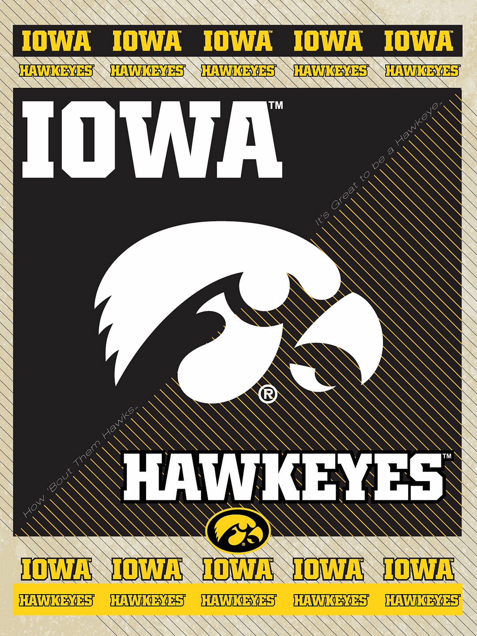 University of Iowa Hawkeyes Canvas Wall Art - College Dorm Decor, Fan Cave, Game Room & Office Wall Art for Iowa Alumni & Fans