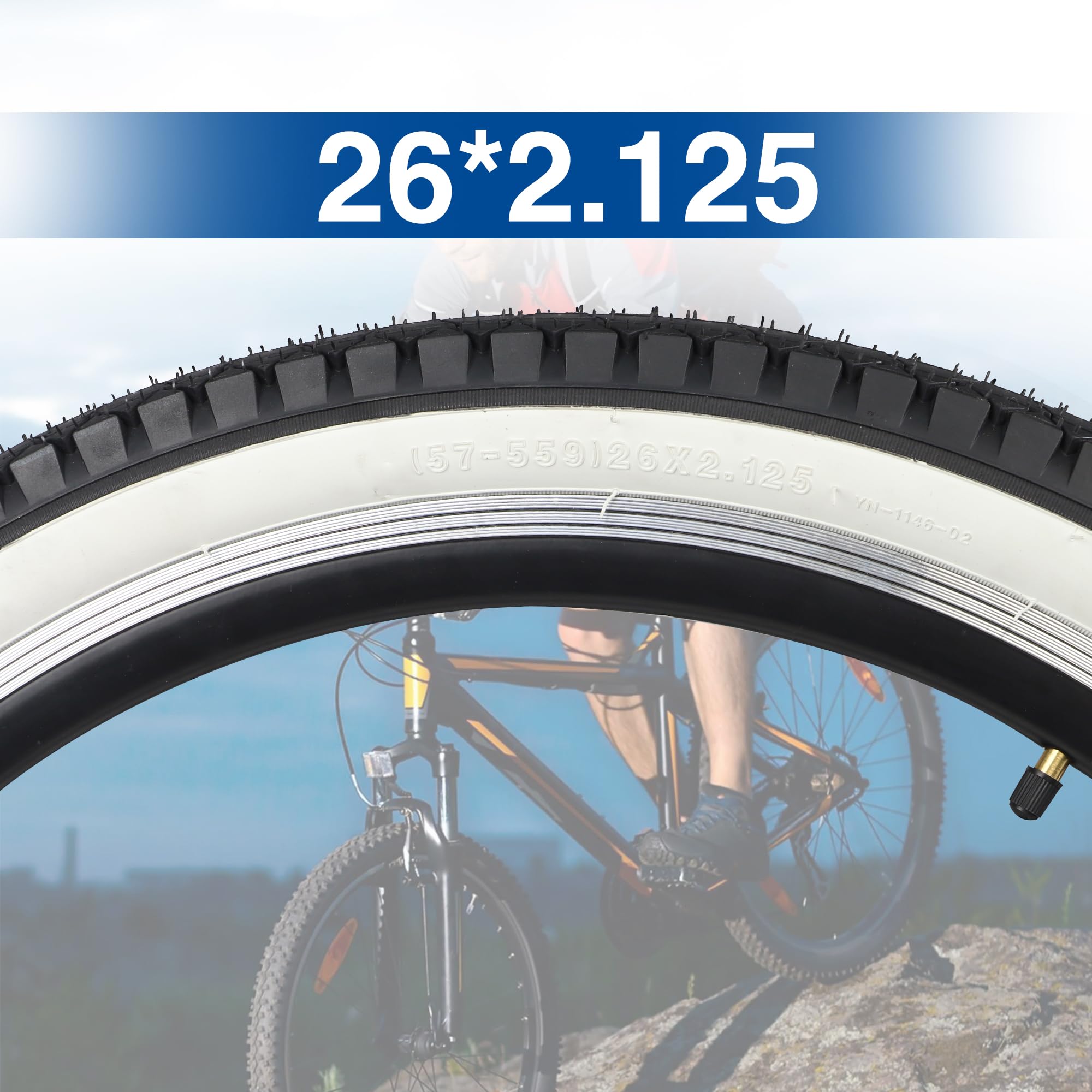 Balinge 1/2 Pack 24