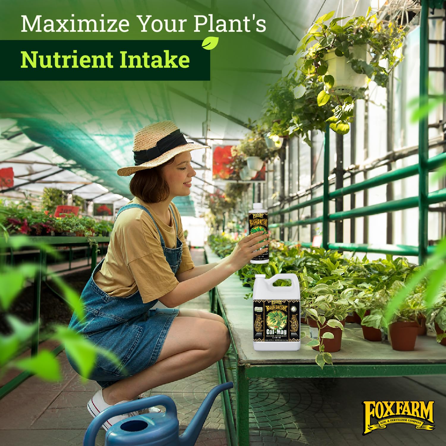 FoxFarm BushDoctor Cal-Mag Liquid Plant Supplement - 3% Calcium & 0.9% Magnesium for Healthy Growth - Prevents Blossom End Rot & Tip Burn in Vegetables, Fruits & Flowers - NPK 1-0-0 (1 Gallon) - Ideal for Hydroponics, Indoor & Outdoor Gardening