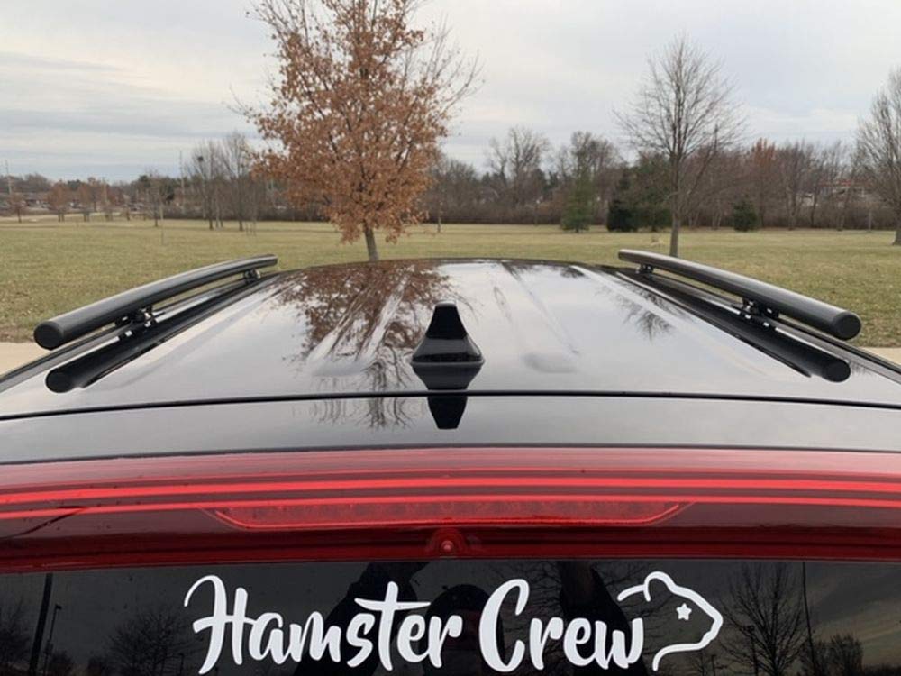 2021 Kia Soul Roof Side Rails - Black Powder Coated Stainless Steel - Perfect Fit for All Naked Roof & EX Models | Heavy-Duty Cargo Carrier for Road Trips & Outdoor Adventures