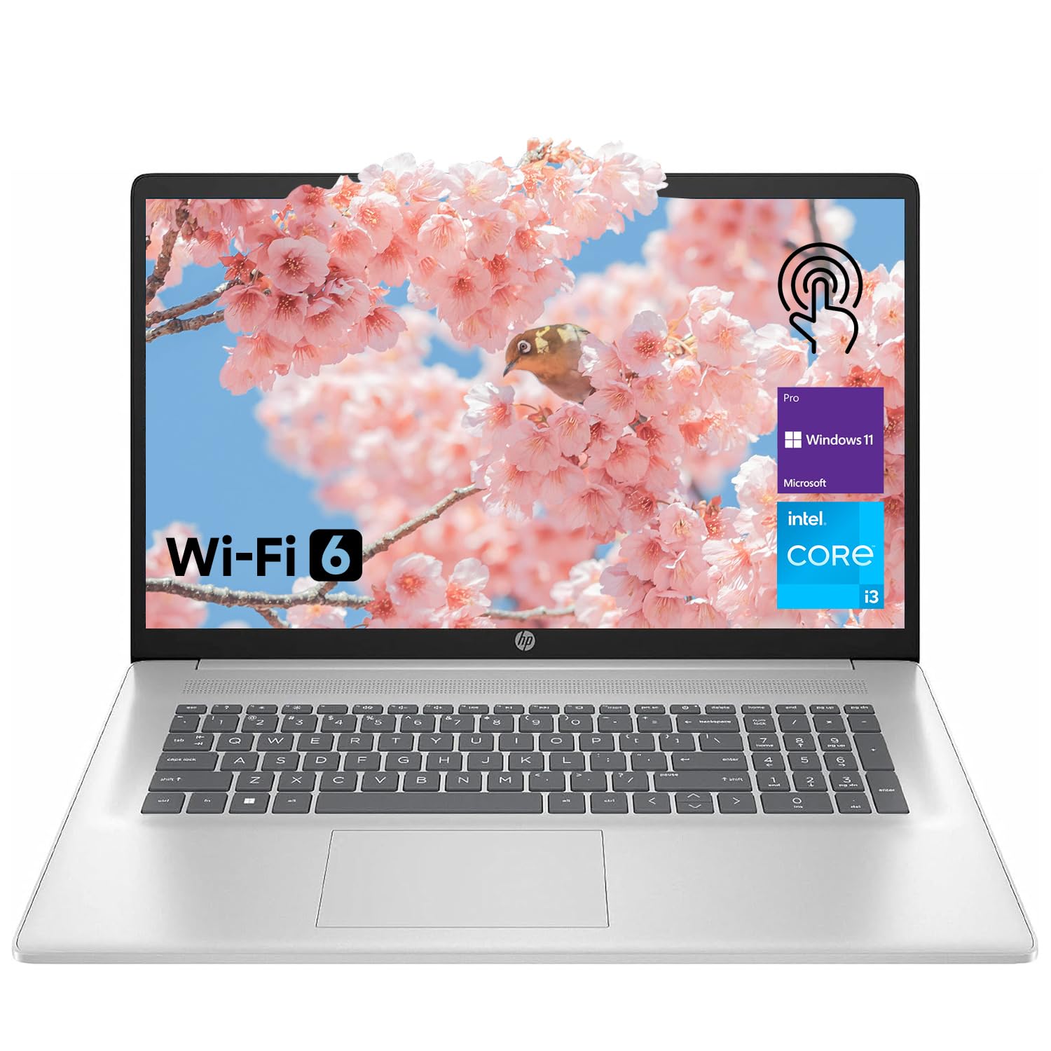 HP 17.3
