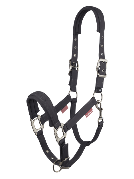 LeMieux Softshell Headcollar for Horses - Breathable & Comfortable Equestrian Headcollar for Training, Grooming, and Stable Use