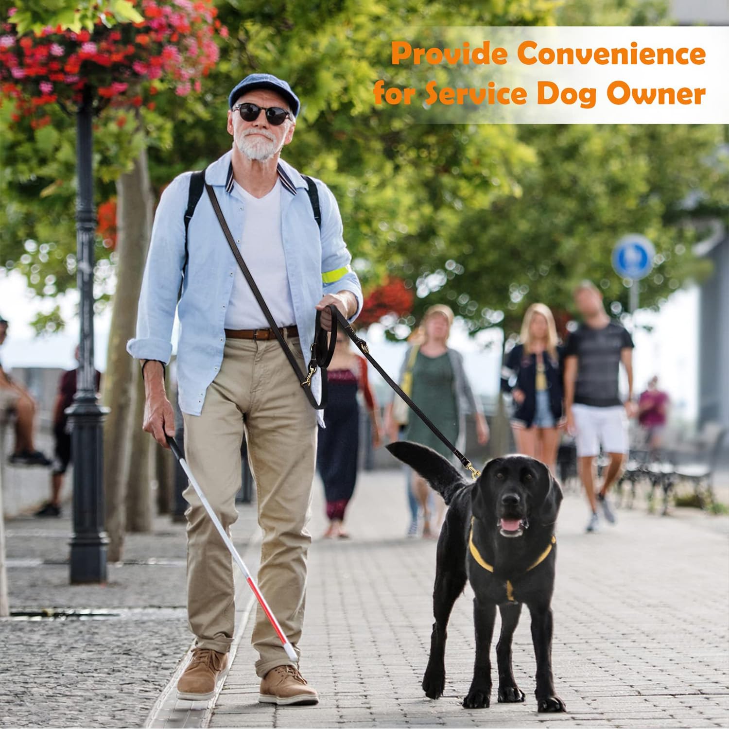 8ft Leather Dog Leash - 6-in-1 Multi-Function Training Lead for Small, Medium & Large Dogs | Hands-Free, Adjustable, Durable | Perfect for Walking, Running, Hiking & Service Dogs (Black)