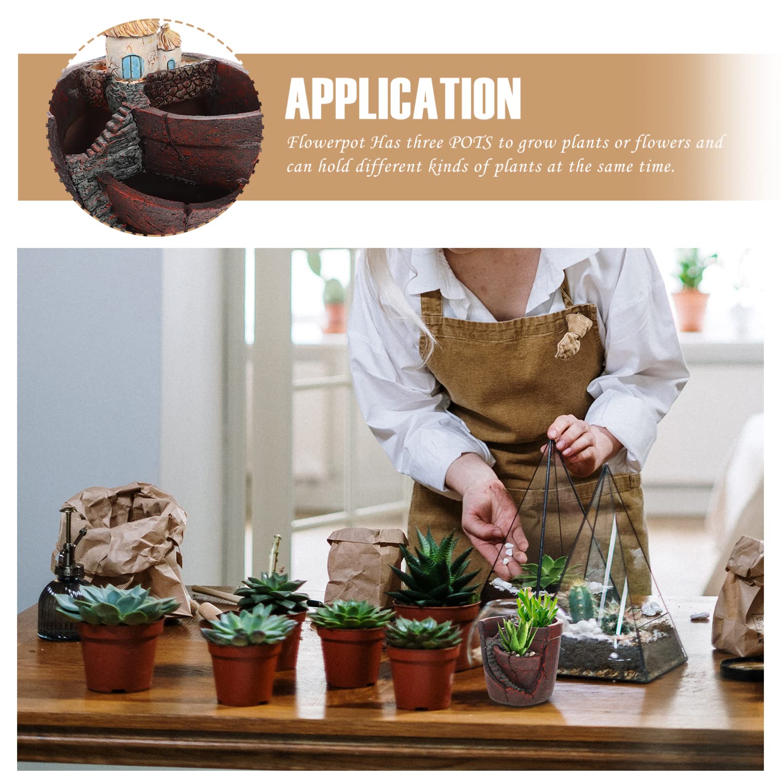 Creative Succulent Planter & Bonsai Flower Pot - Decorative Gardening Container for Indoor Plants, Home Decor, and Landscaping | Perfect for Succulents, Cacti, and Small Houseplants