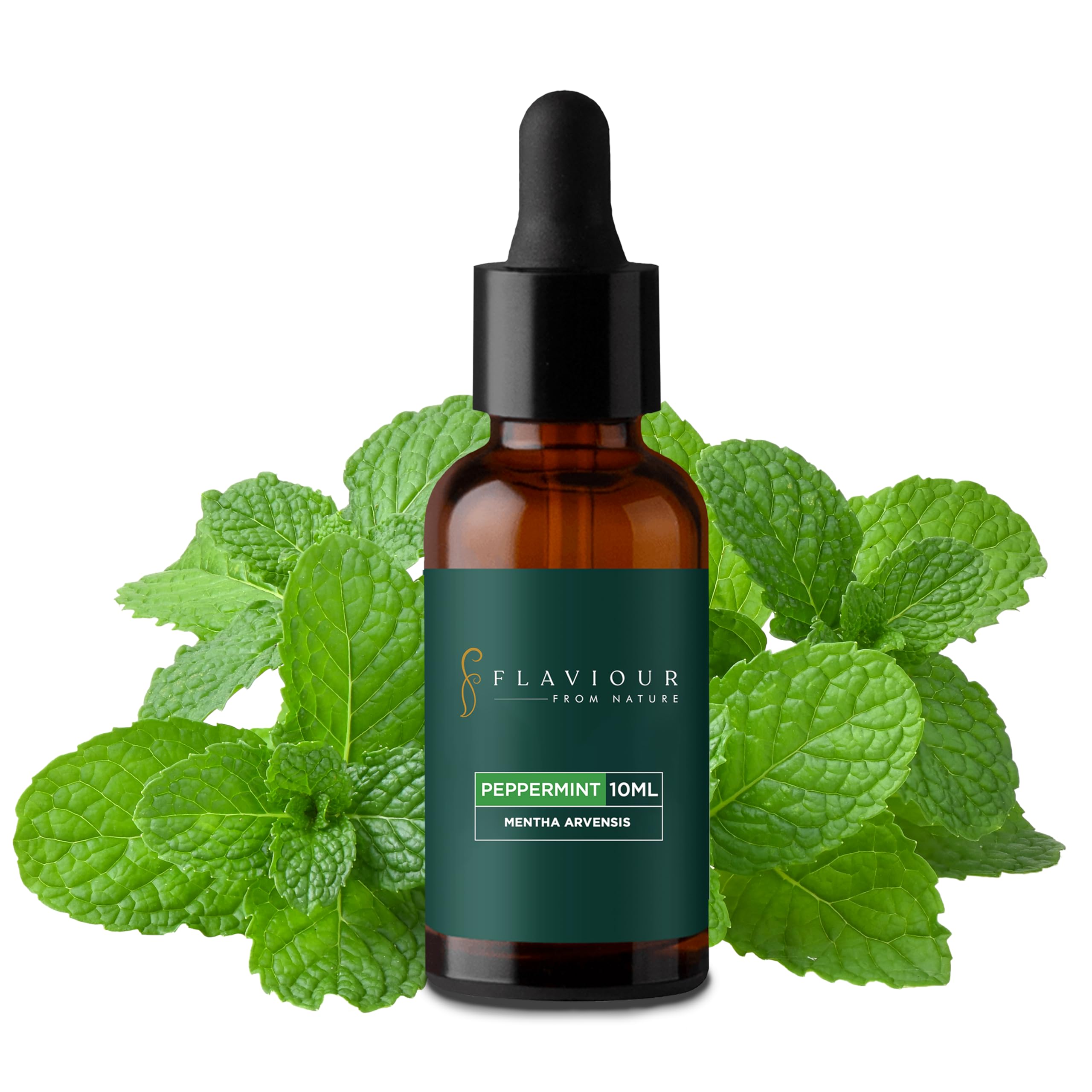 100% Pure Peppermint Essential Oil (Mentha Piperita) - 10ml Natural Aromatherapy Oil for Relaxation, Hair Growth & Skin Care | Refreshing Scent for Diffuser, Massage & DIY Beauty Products | USDA Certified Organic Therapeutic Grade Oil