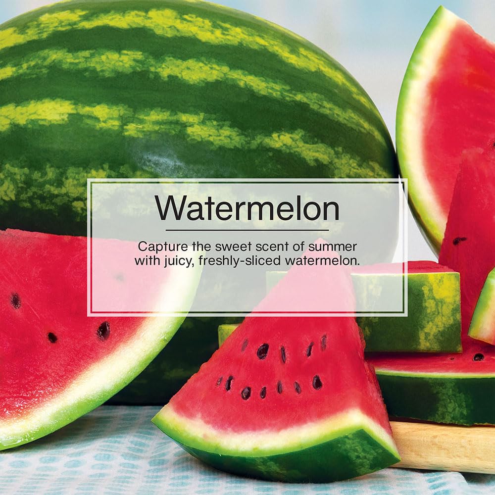 Little Trees Air Fresheners - 24 Pack Hanging Car Air Fresheners with Long Lasting Watermelon Scent | Freshen Your Car, Home, Office & Small Spaces