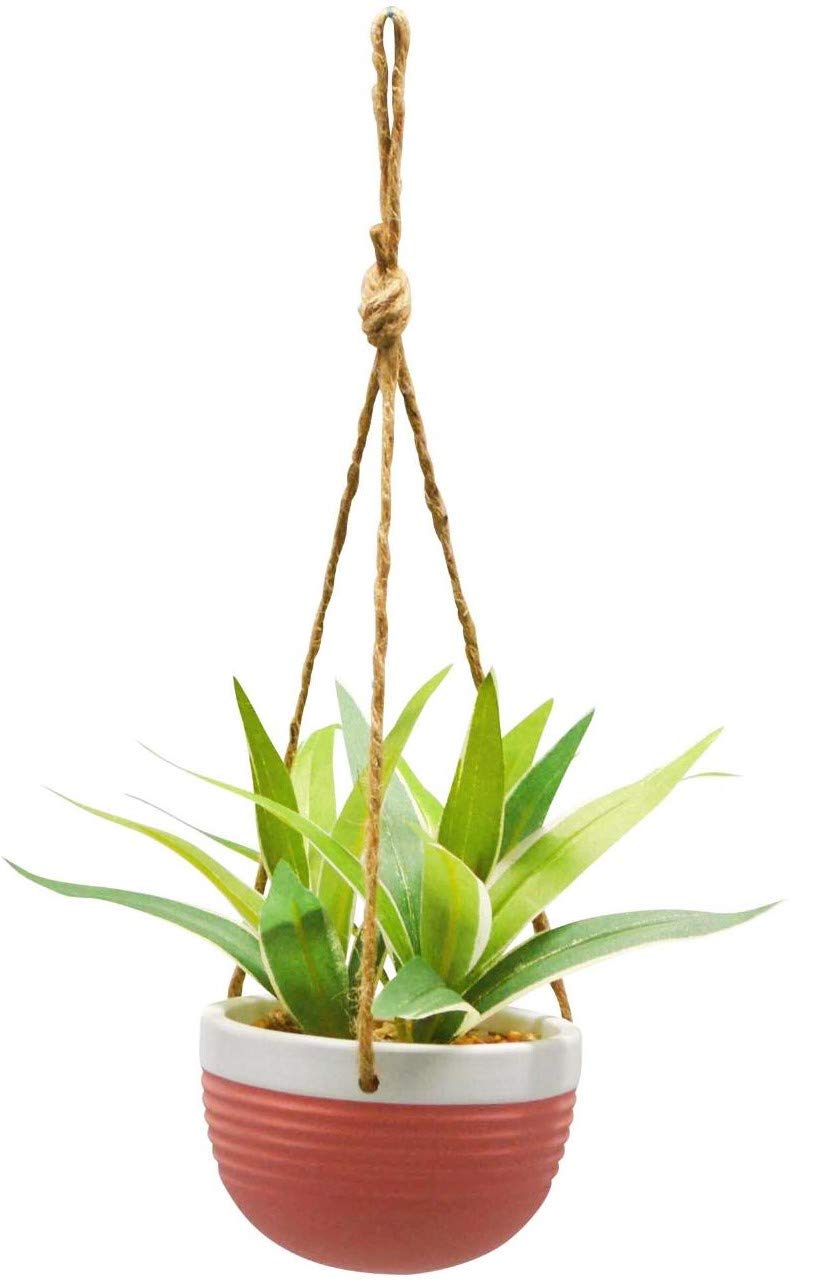 V-Max 13 Inch Dracaena Hanging Planter - Colorful Ceramic Flower Pot for Indoor Plants, Home Decor, Living Room, Balcony & Office Decorations