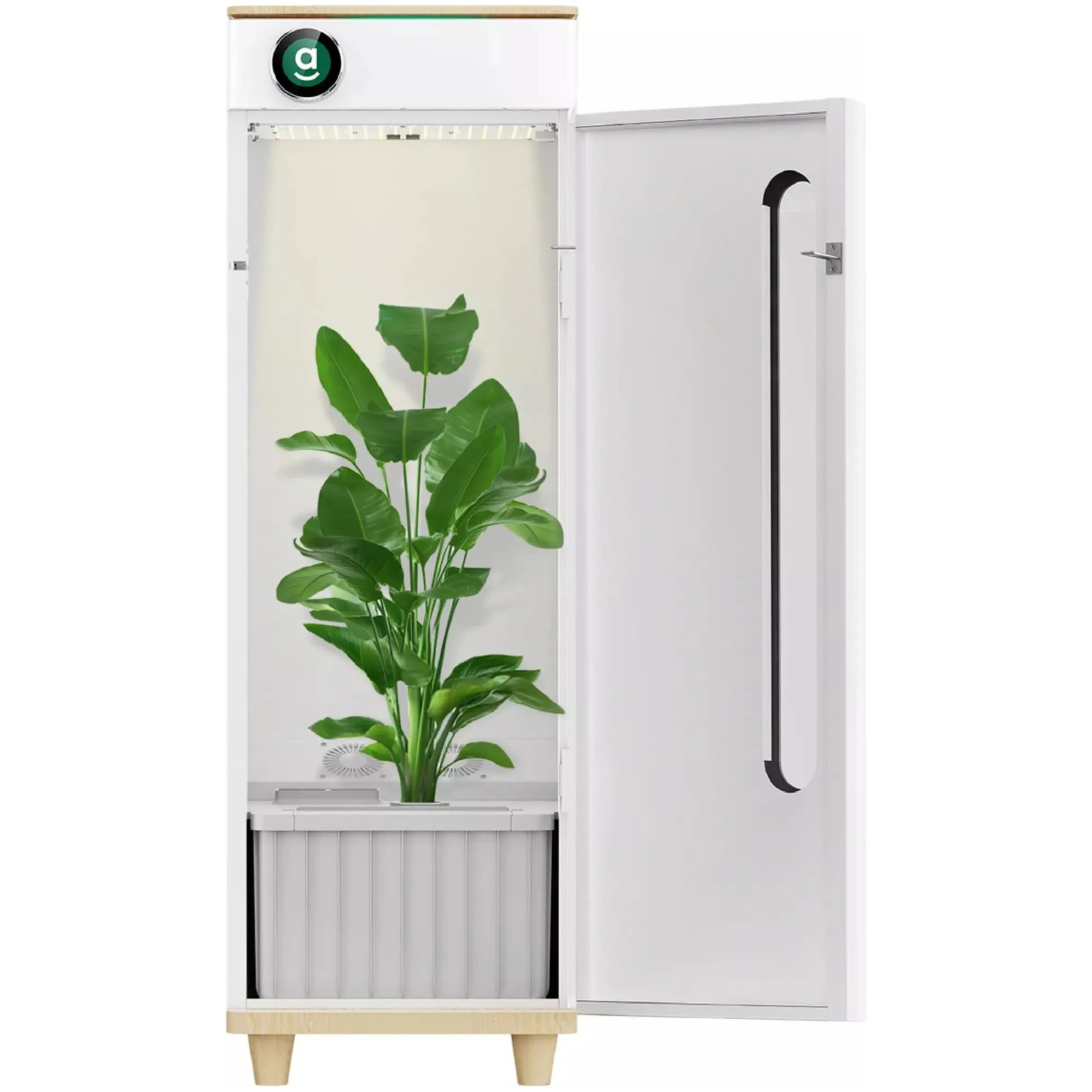 Hey abby OG Automated Grow Box System - Indoor Hydroponic Garden Kit with 3-Month Subscription for Fresh Herbs & Vegetables | Perfect for Home, Kitchen, and Urban Gardening