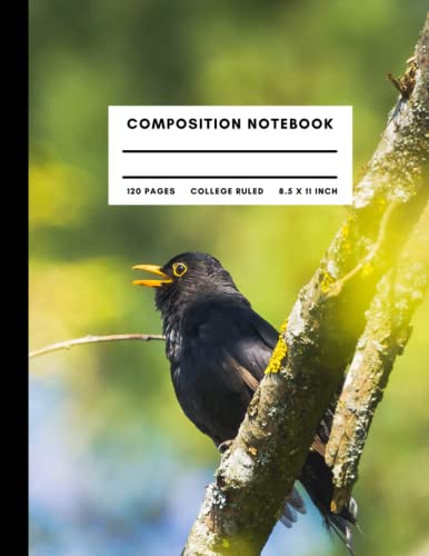 Stylish Blackbird Composition Notebook - College Ruled Lined Journal with Beautiful Cover for Students, Professionals & Writers | 8.5 x 11 Inch, 120 Pages | Perfect for School, Office & Creative Writing