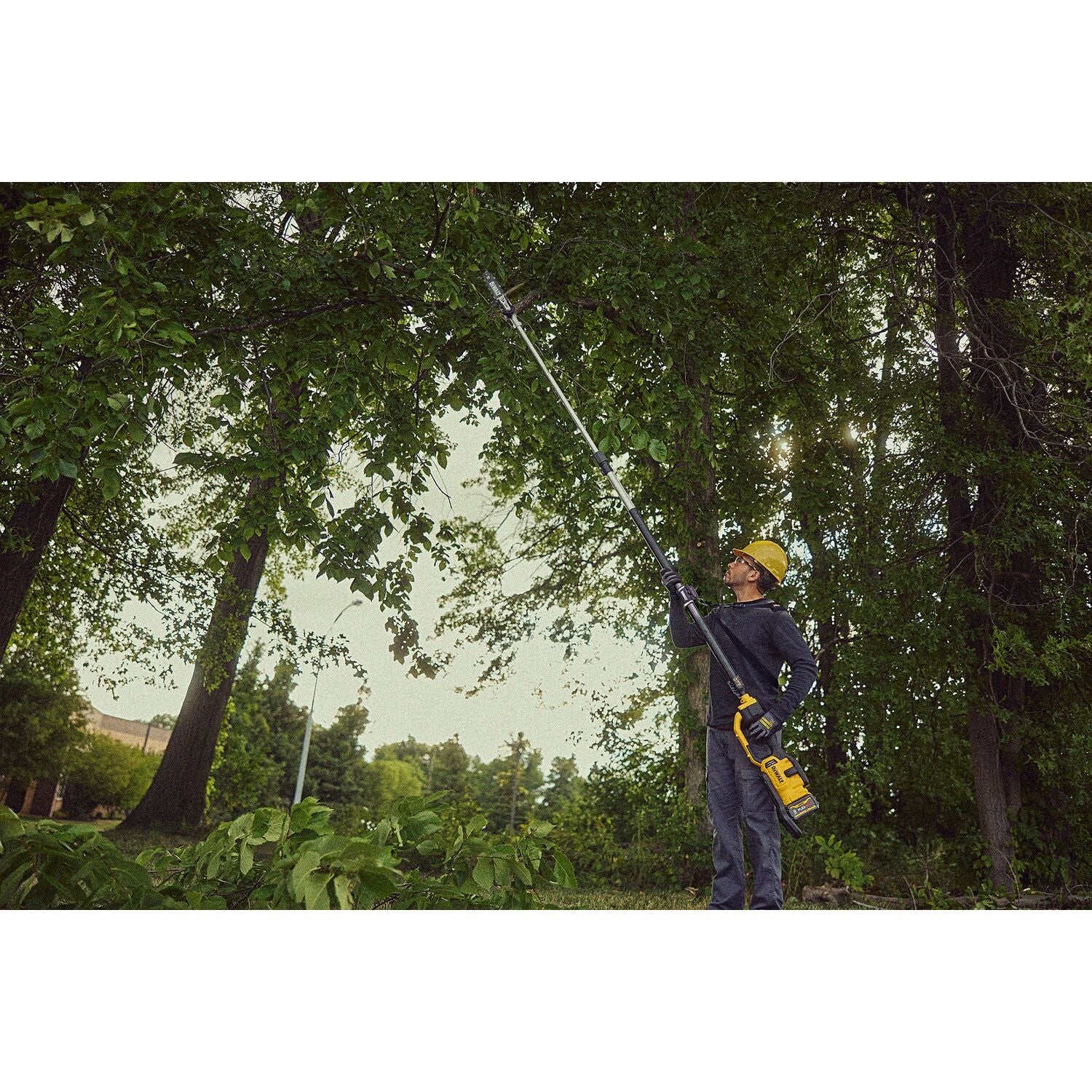 DEWALT 60V MAX Cordless Telescoping Pole Saw Kit with Battery and Charger - DCPS671X1 - Perfect for Tree Trimming, Landscaping, and Outdoor Yard Maintenance