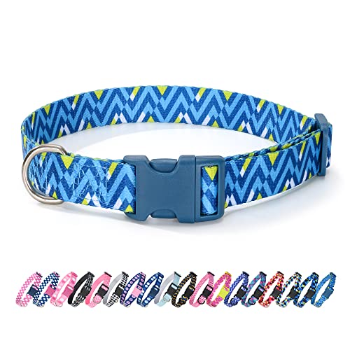 Z-Light Blue/Hot Blue