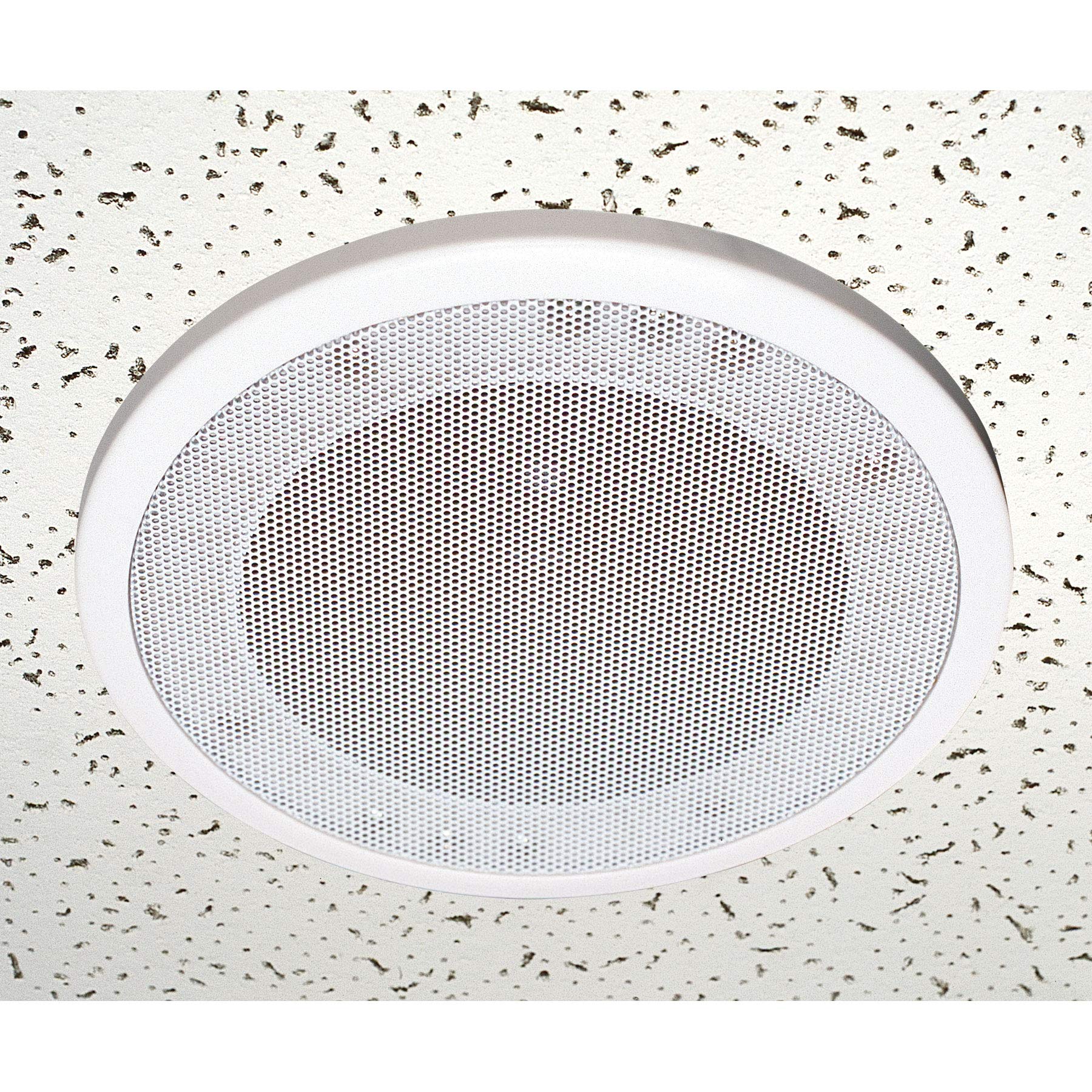 Yorkville C160W 6.5
