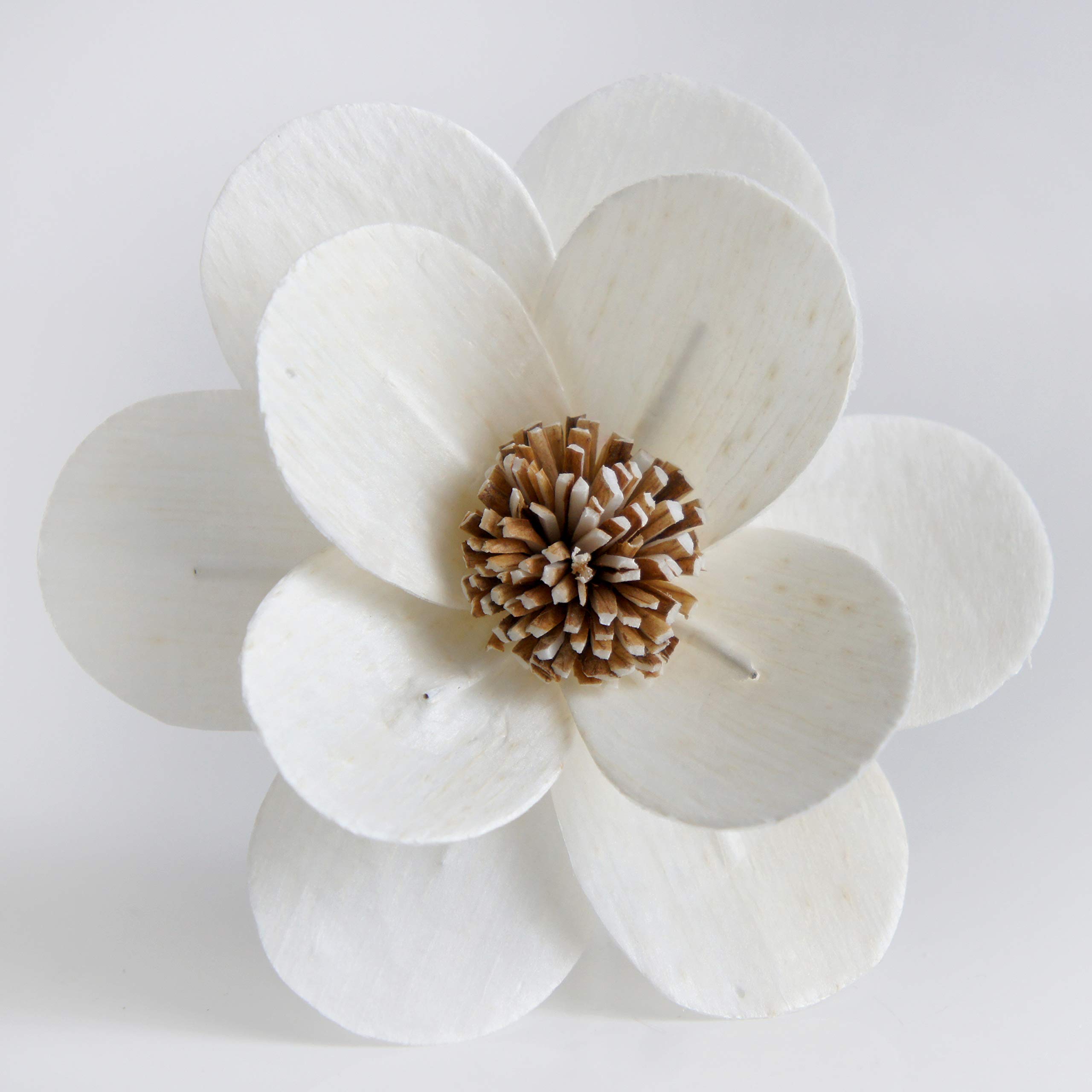 Penny & Rose Magnolia Aromatherapy Essential Oil Diffuser with Springhouse Watermelon Scent - Perfect for Home, Office, Yoga Studio & Spa Relaxation