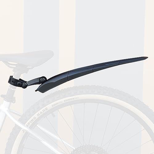 Rear Fender