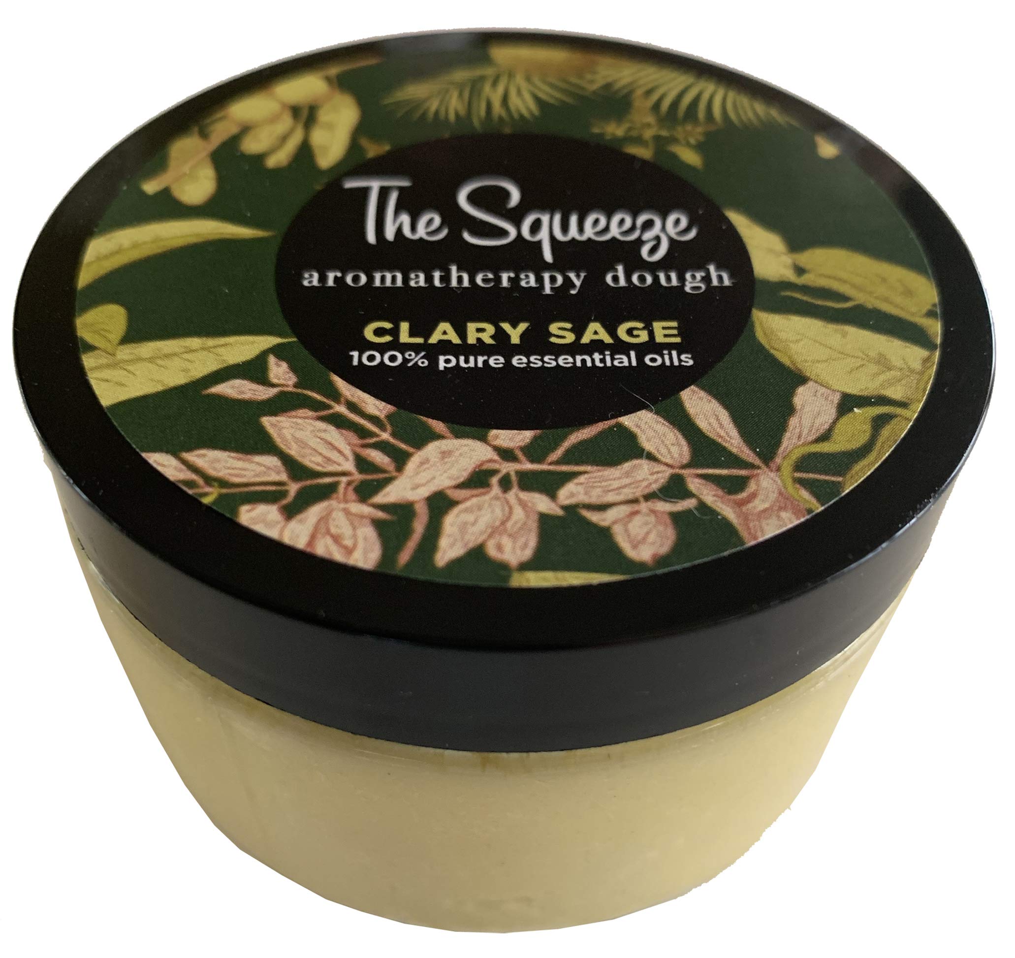 Clary Sage Aromatherapy Stress Relief Dough with Essential Oils - Perfect for Anxiety Relief, Office Desk Therapy & Sensory Play