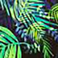 Bright Palms