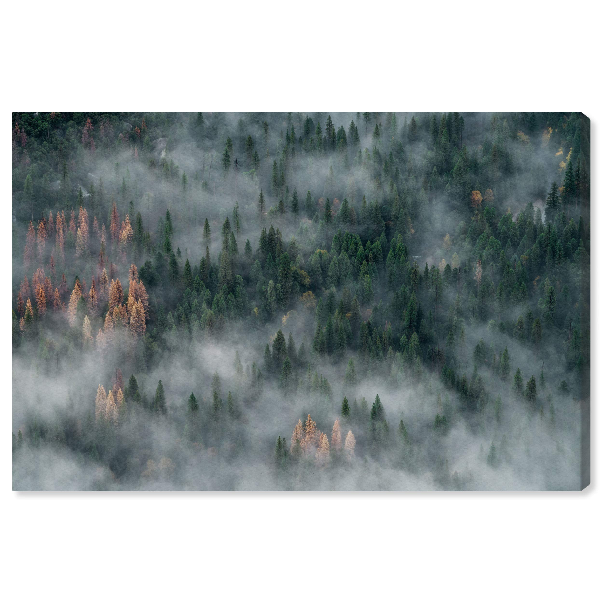 Oliver Gal Artist Co. 'Inmensidad' Nature & Landscape Wall Art Canvas Print - 36x24 Inches, Green & White - Perfect for Living Room, Bedroom & Office Décor
