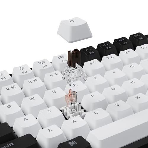Gateron G Pro mechanical Brown Switch