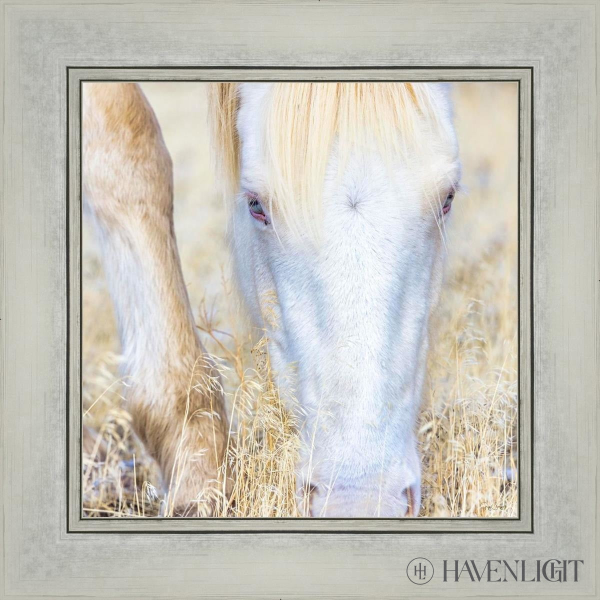 Dry Grass by Greg Sargent - Premium Handcrafted Home Decor for Rustic & Farmhouse Style - Perfect for Wall Art, Shelf Displays & Cozy Living Room Decor