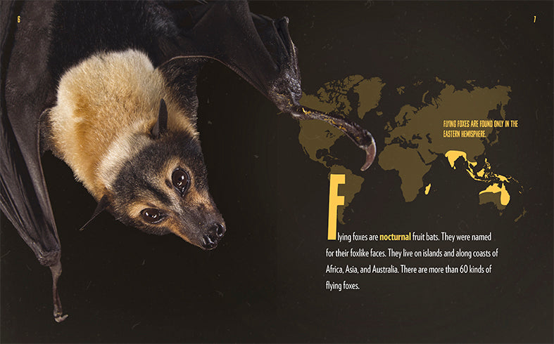 Flying Foxes Book - ISBN 9781640261181 - Perfect for Wildlife Enthusiasts & Nature Lovers
