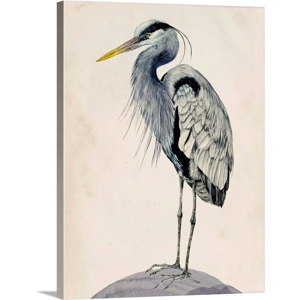 Blue Heron Rendering II Canvas Wall Art Print by Melissa Wang - Coastal & Contemporary Wildlife Artwork, 36