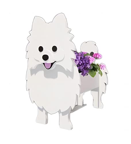 Pomeranian