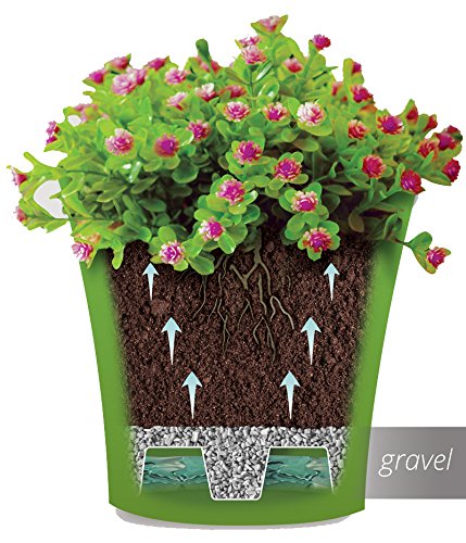 Self Watering Planters 6.5 Inch - Red Pearl & White Flower Pot with Drainage Holes for Indoor Plants, Succulents & Flowers | Plastic Gardening Planter with Water Reservoir | Perfect for Home Decor, Office Desk & Balcony Gardening