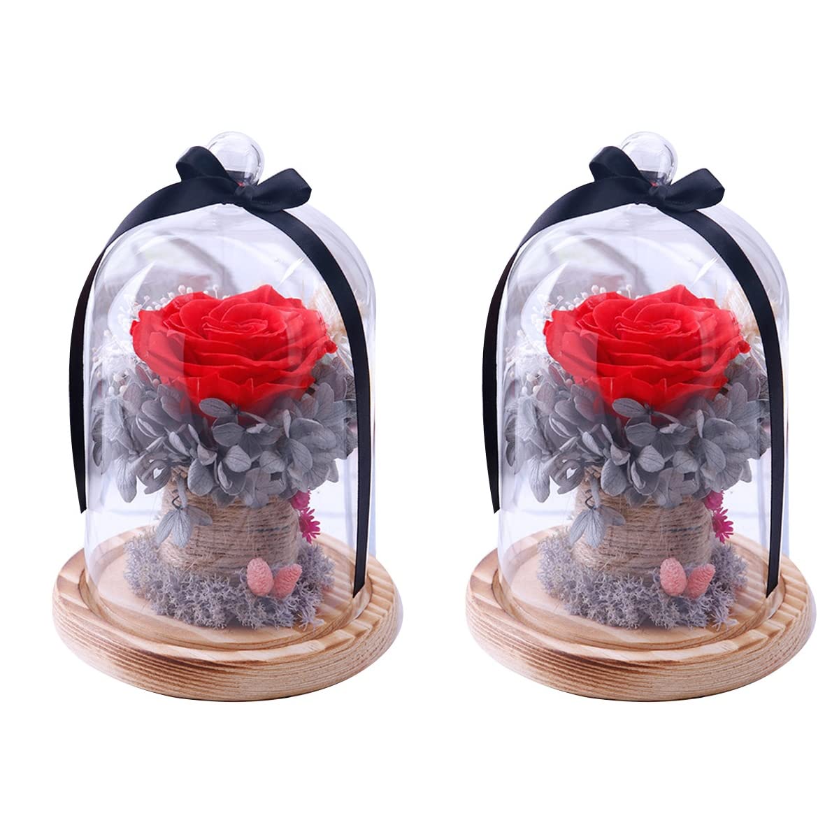 ABOOFAN 2-Piece Preserved Rose Glass Dome Set - Eternal Rose Display Case, Valentine's Day Gift for Girlfriend/Wife, DIY Floral Keepsake with Gift Box (Red) - Perfect for Anniversary, Wedding Centerpiece & Home Decor