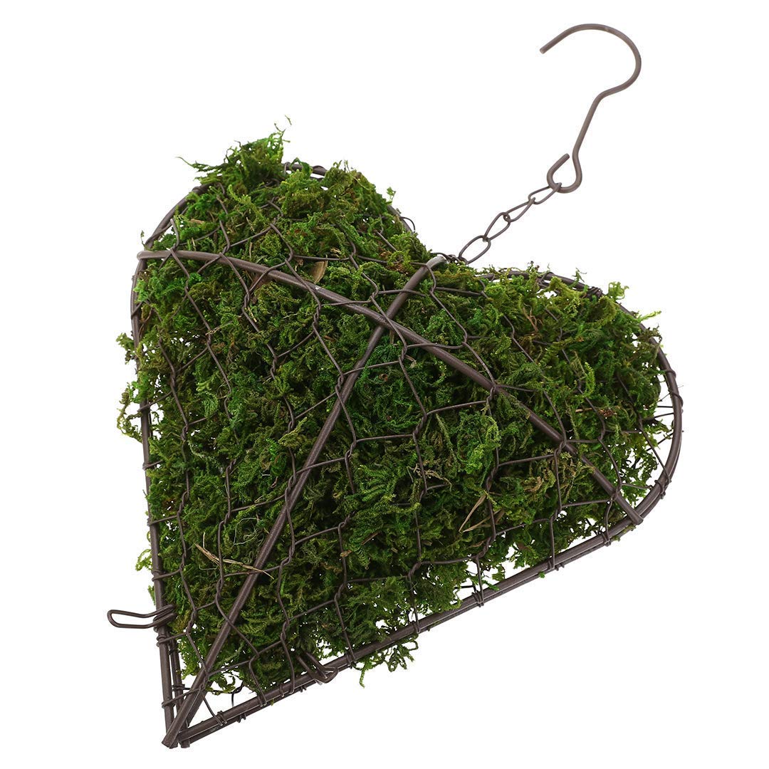 Heart-Shaped Hanging Planters Basket - Iron Wall Mounted Succulent Flower Pots with Hook for Indoor/Outdoor Garden Decor (21x20x6cm) - Perfect for Balcony, Patio, Living Room & Wedding Decorations