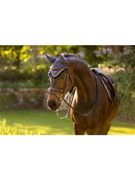 Le Mieux Loire Fly Hood for Horses - Breathable UV Protection Fly Mask with Ears - Perfect for Riding, Training, and Pasture Use