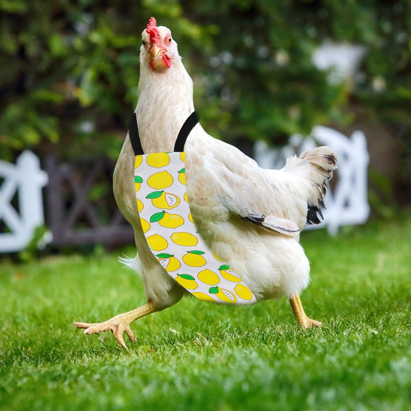 Yanmucy Washable Chicken Diapers for Ducks & Geese - Reusable Pet Poultry Diapers with Fruit Print (Lemon, Medium Size) - Perfect for Hens, Roosters & Backyard Birds
