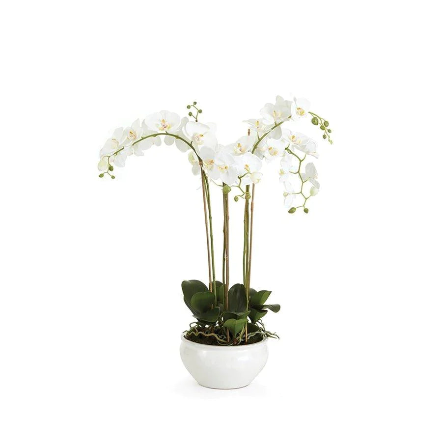 Barclay Butera White Phalaenopsis Floral Arrangement in Ceramic Bowl - Elegant Home Decor for Living Room, Dining Table, or Wedding Centerpiece