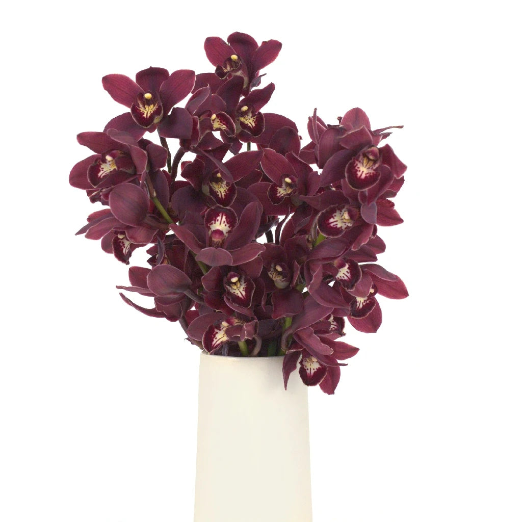 Blushing Burgundy Mini Cymbidium Orchids - Elegant Artificial Flowers for Home Decor, Wedding Centerpieces & Office Desk Arrangements