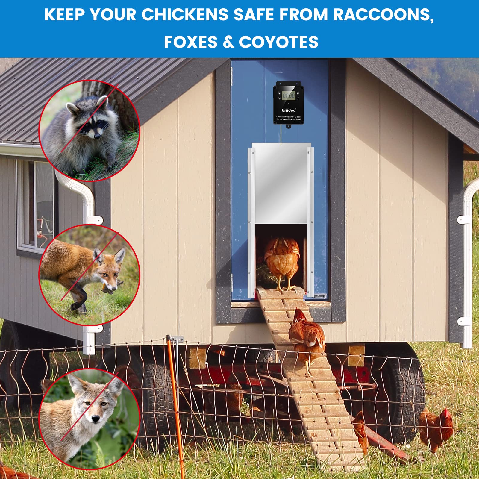 Briidea Automatic Chicken Coop Door - Waterproof Electric Auto Chicken Door Kit with Timer & Light Sensor, Battery Powered for Poultry Farm, Backyard Chicken Coops & DIY Chicken Houses